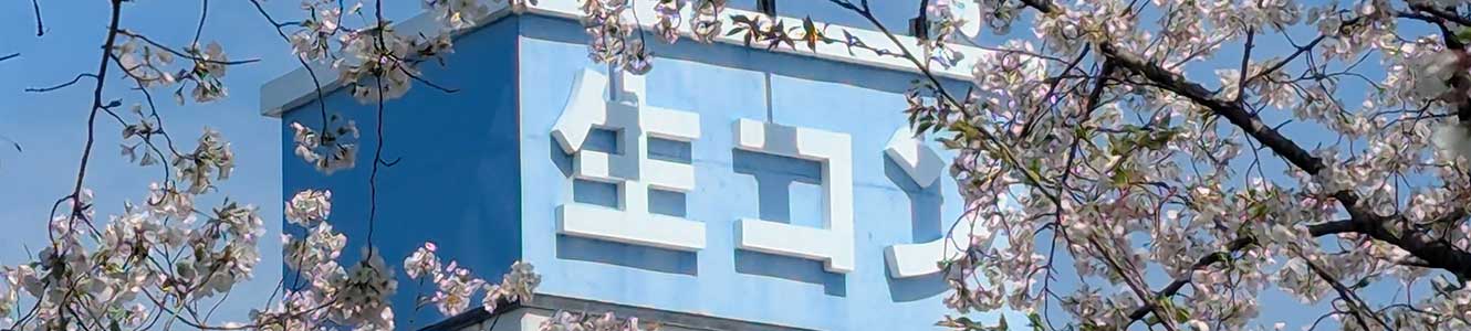 コンテンツタイトル下地